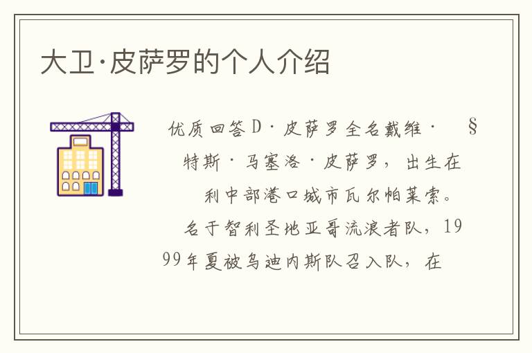 大卫·皮萨罗的个人介绍
