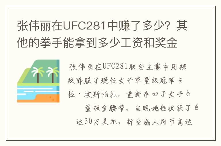 张伟丽在UFC281中赚了多少?其他的拳手能拿到多少工资和奖金?