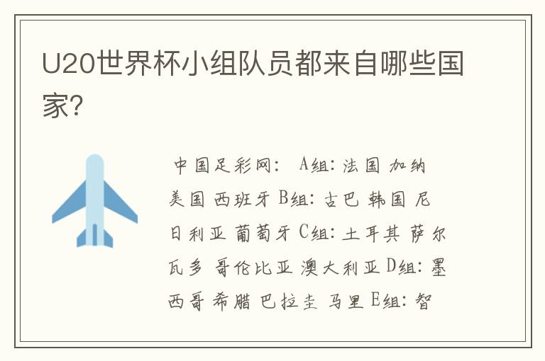 U20世界杯小组队员都来自哪些国家?