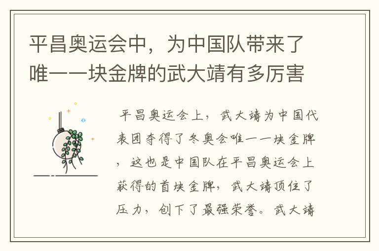 平昌奥运会中,为中国队带来了唯一一块金牌的武大靖有多厉害?