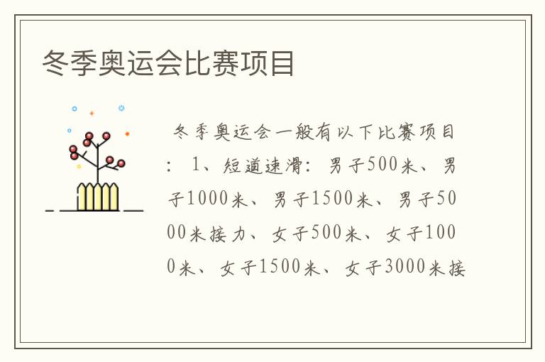 冬季奥运会比赛项目