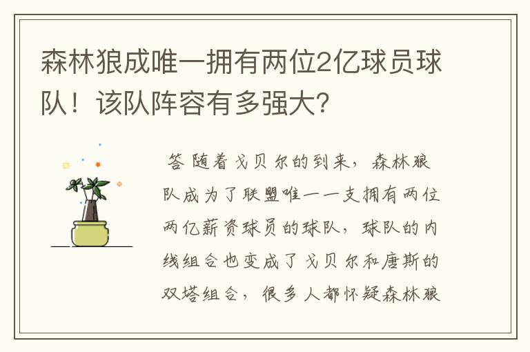 森林狼成唯一拥有两位2亿球员球队!该队阵容有多强大?