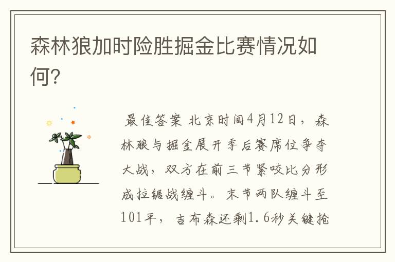 森林狼加时险胜掘金比赛情况如何?