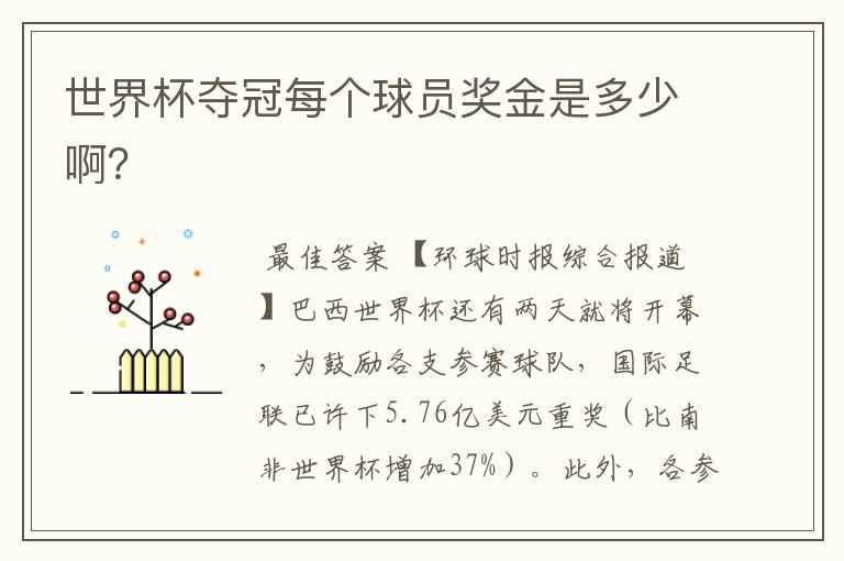 世界杯夺冠每个球员奖金是多少啊?