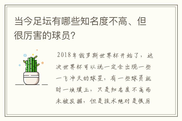 当今足坛有哪些知名度不高、但很厉害的球员？