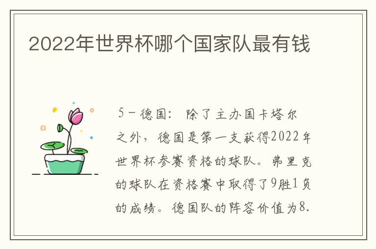 2022年世界杯哪个国家队最有钱