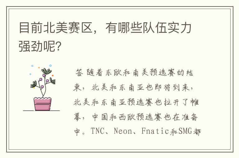 目前北美赛区,有哪些队伍实力强劲呢?