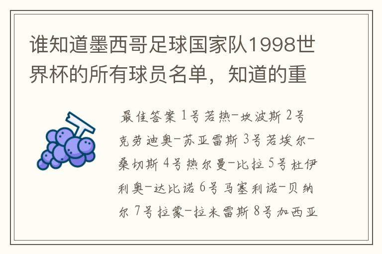 谁知道墨西哥足球国家队1998世界杯的所有球员名单,知道的重赏
