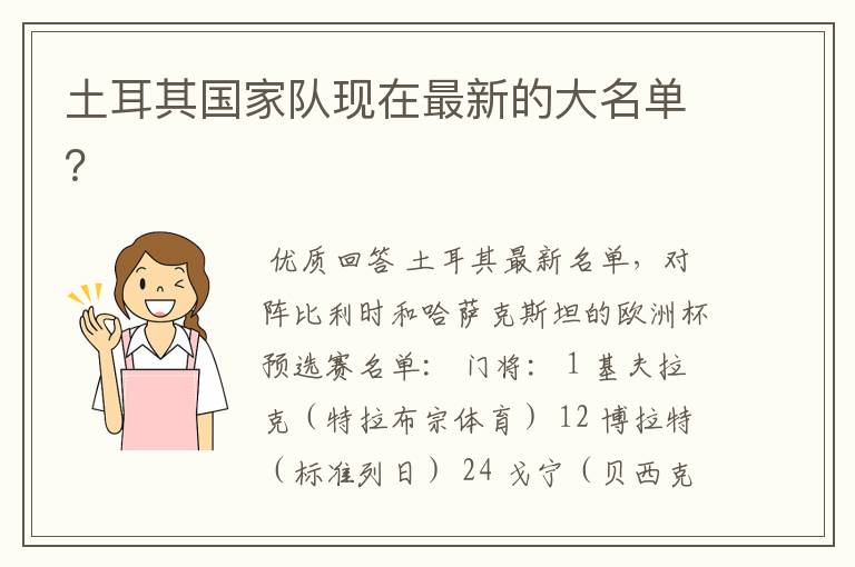 土耳其国家队现在最新的大名单?