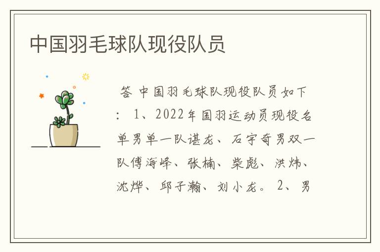 中国羽毛球队现役队员