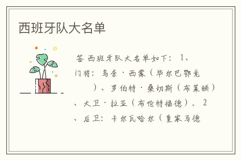 西班牙队大名单