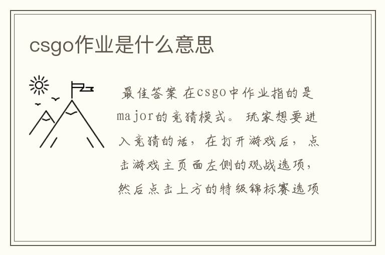 csgo作业是什么意思