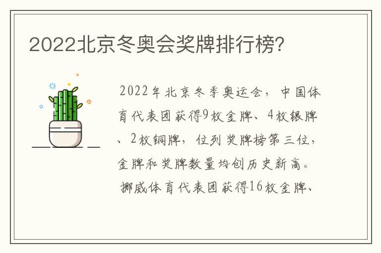 2022北京冬奥会奖牌排行榜?