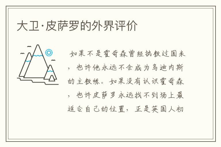 大卫·皮萨罗的外界评价