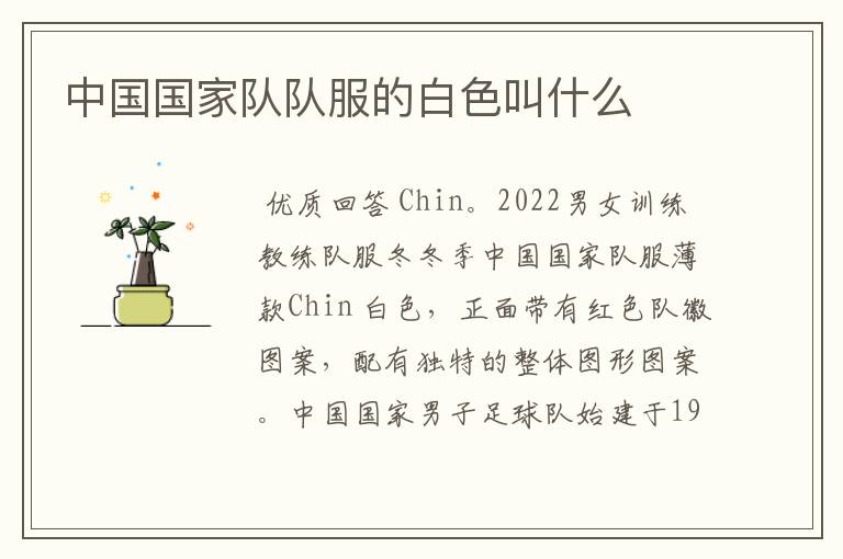 中国国家队队服的白色叫什么