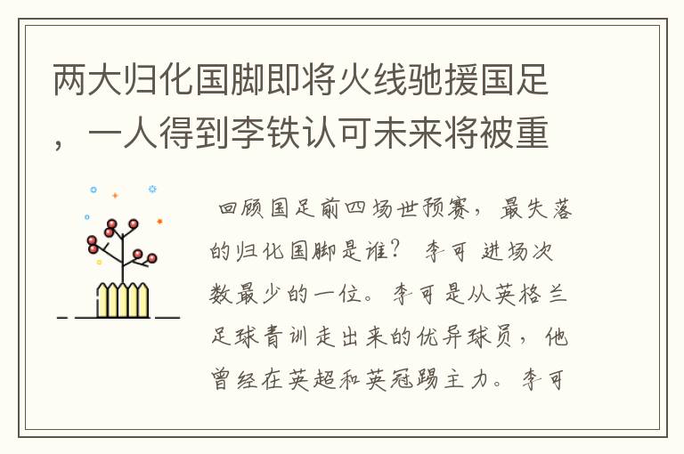 两大归化国脚即将火线驰援国足,一人得到李铁认可未来将被重用,你怎么看?