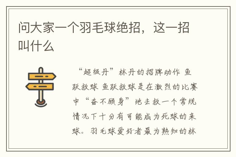 问大家一个羽毛球绝招,这一招叫什么