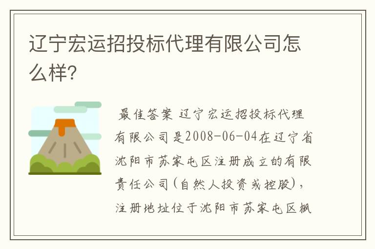 辽宁宏运招投标代理有限公司怎么样?