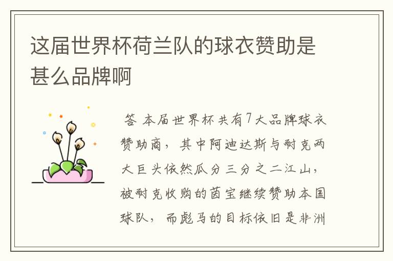 这届世界杯荷兰队的球衣赞助是甚么品牌啊