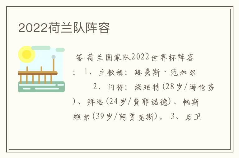 2022荷兰队阵容