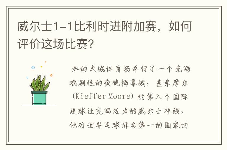 威尔士1-1比利时进附加赛,如何评价这场比赛?