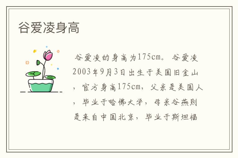 谷爱凌身高