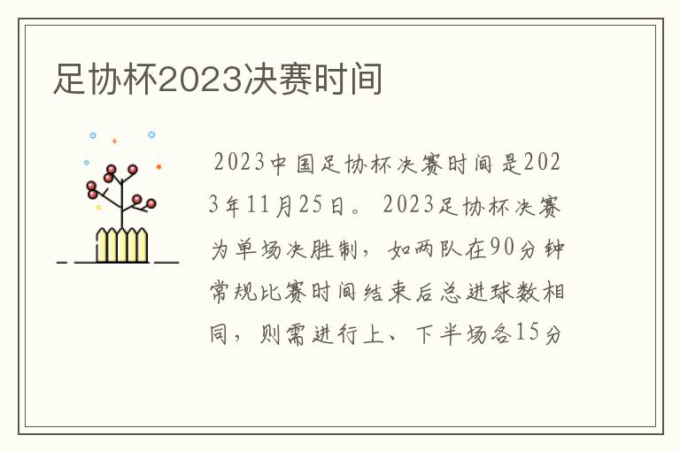 足协杯2023决赛时间