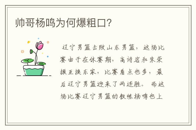 帅哥杨鸣为何爆粗口?