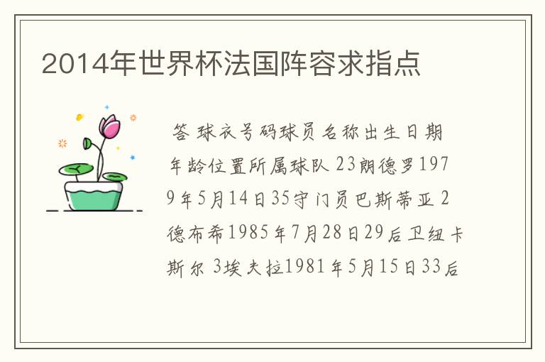 2014年世界杯法国阵容求指点