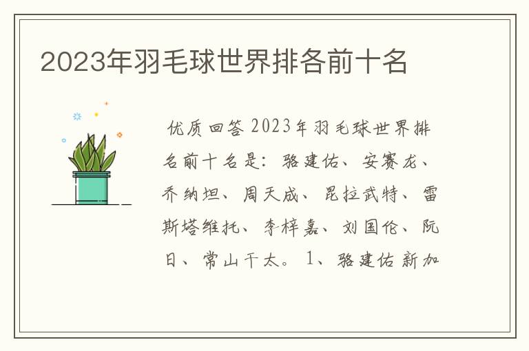 2023年羽毛球世界排各前十名