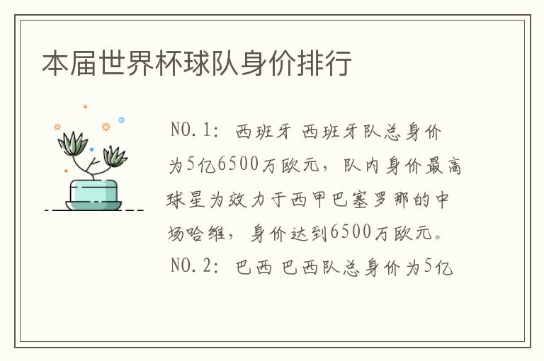本届世界杯球队身价排行