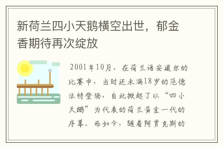 新荷兰四小天鹅横空出世,郁金香期待再次绽放