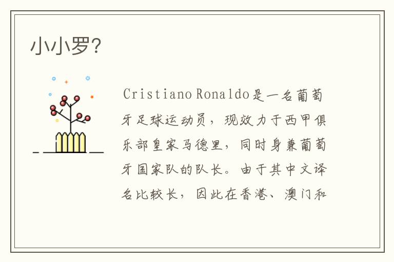小小罗?