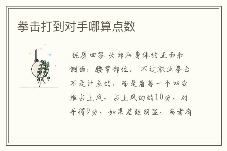 拳击打到对手哪算点数