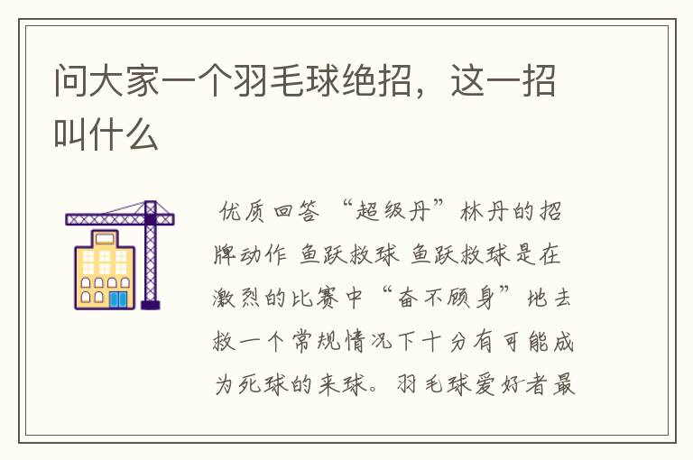 问大家一个羽毛球绝招,这一招叫什么