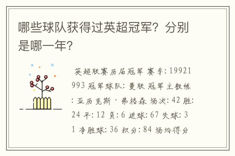 哪些球队获得过英超冠军?分别是哪一年?