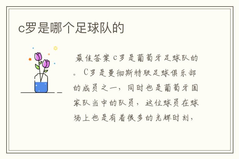c罗是哪个足球队的