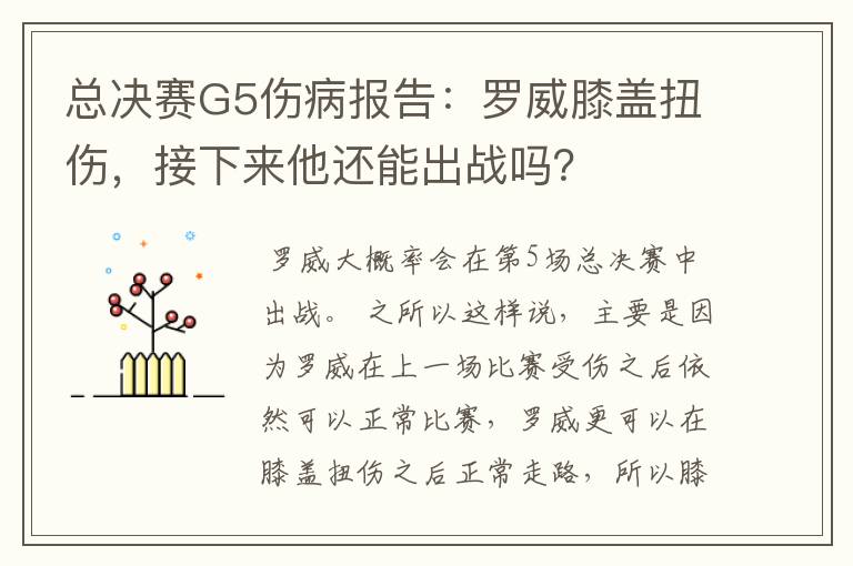 总决赛G5伤病报告:罗威膝盖扭伤,接下来他还能出战吗?