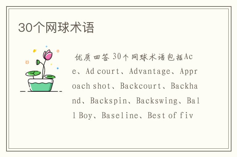 30个网球术语