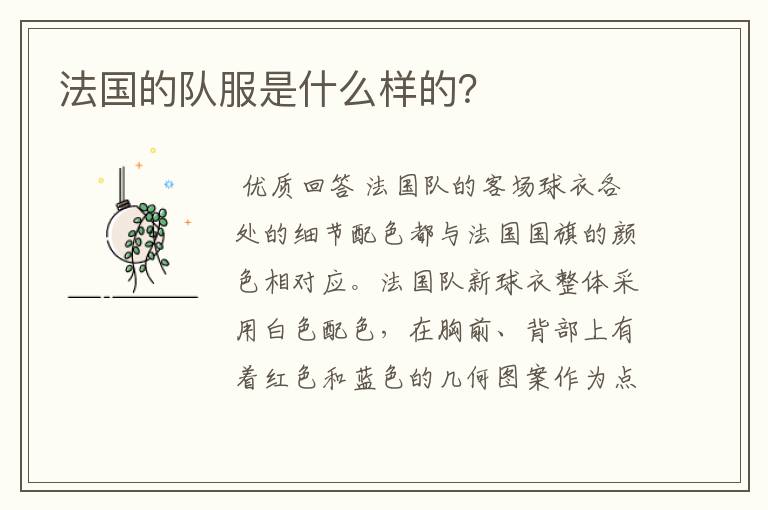 法国的队服是什么样的?