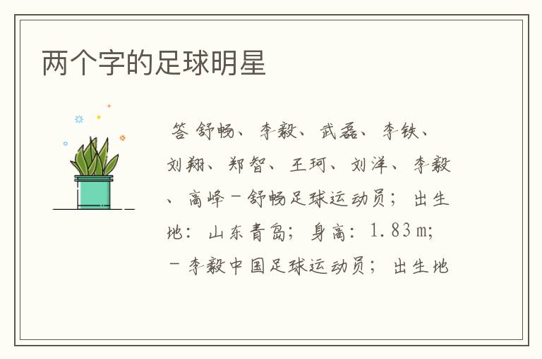 两个字的足球明星