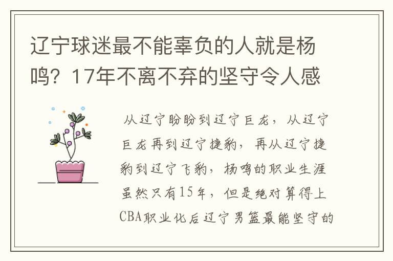 辽宁球迷最不能辜负的人就是杨鸣?17年不离不弃的坚守令人感动