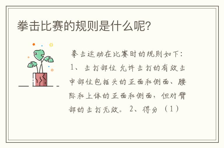 拳击比赛的规则是什么呢?