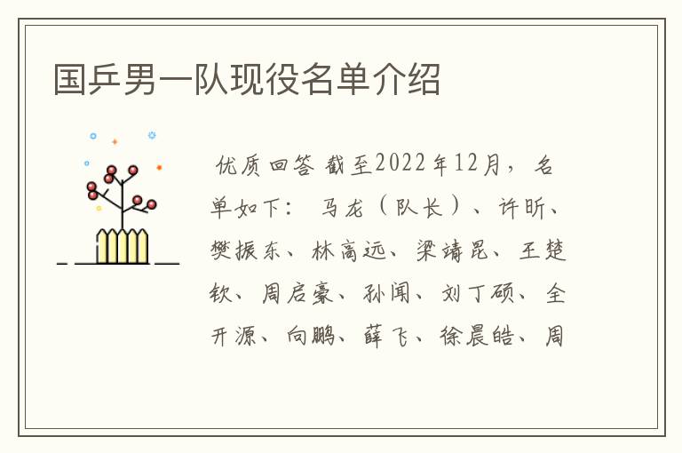 国乒男一队现役名单介绍