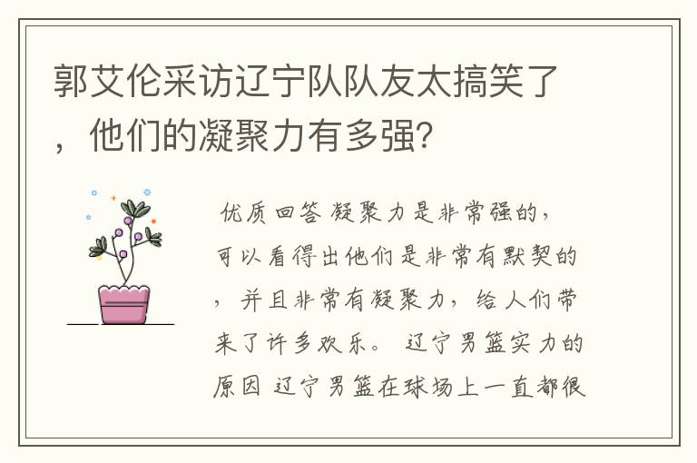 郭艾伦采访辽宁队队友太搞笑了,他们的凝聚力有多强?