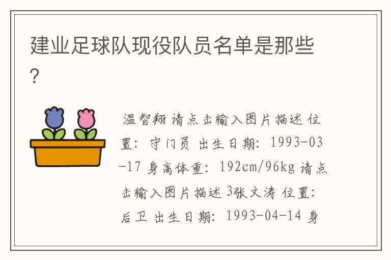 建业足球队现役队员名单是那些?