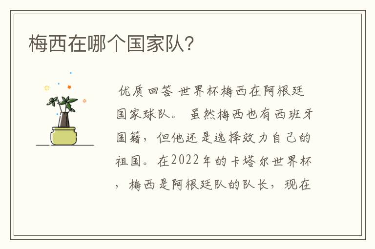 梅西在哪个国家队?