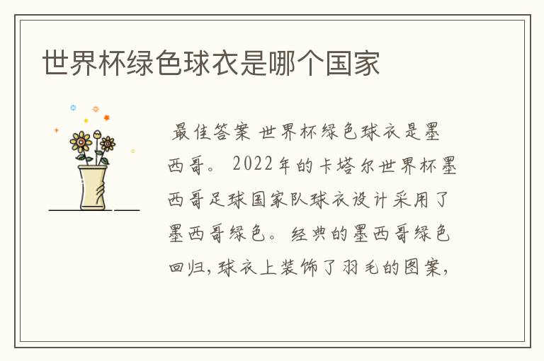 世界杯绿色球衣是哪个国家
