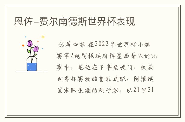 恩佐-费尔南德斯世界杯表现