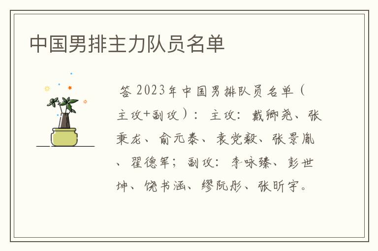 中国男排主力队员名单
